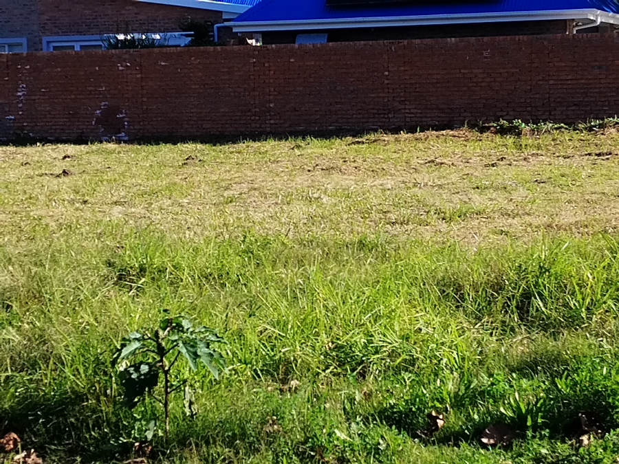 0 Bedroom Property for Sale in Die Eiland Western Cape